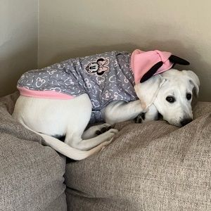 Dog Jacket
